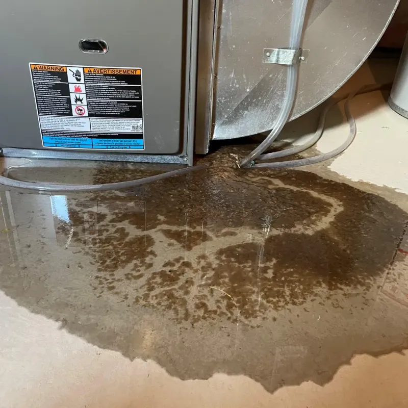 Appliance Leak Cleanup in Maili, HI