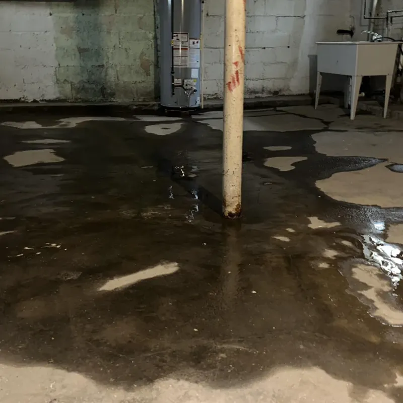 Emergency Water Extraction And Removal in Maili, HI